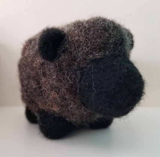 Wool Sheep